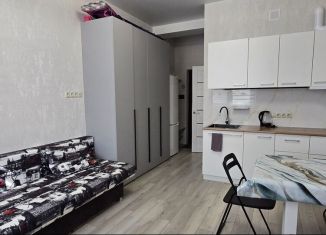 Сдача в аренду квартиры студии, 22 м2, Сочи, Кутаисская улица, 1