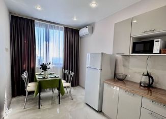 Сдаю 2-ком. квартиру, 45 м2, Сочи, Ясногорская улица, 16/2, микрорайон Бытха