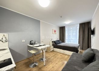 Продажа квартиры студии, 23 м2, посёлок Парголово, Толубеевский проезд, 8к2