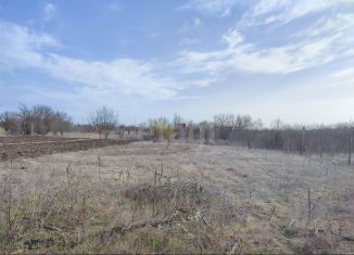 Продается участок, 5.1 сот., Крым, садоводческий потребительский кооператив Дубки, 47