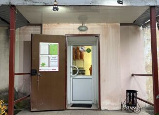 Сдается торговая площадь, 20 м2, Нижний Новгород, улица Движенцев, 6