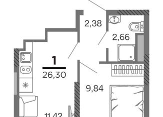1-комнатная квартира на продажу, 26.3 м2, Рязань