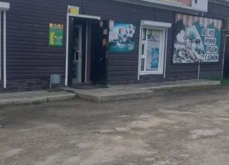 Продажа помещения свободного назначения, 160 м2, Алтайский край, Ленинская улица, 27А