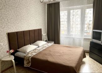 Сдается 1-ком. квартира, 33 м2, Санкт-Петербург, проспект Космонавтов, 65к4