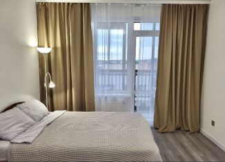 Сдам в аренду квартиру студию, 24 м2, Санкт-Петербург, Пулковское шоссе, 95к3