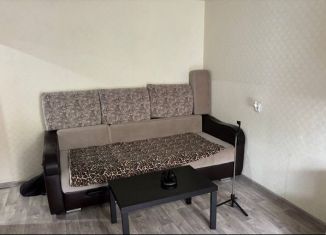 Сдача в аренду 2-ком. квартиры, 44 м2, Новосибирск, улица Бориса Богаткова, 169, Октябрьский район