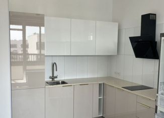 Сдам 1-ком. квартиру, 33.5 м2, Санкт-Петербург, проспект Ветеранов, 214, Красносельский район