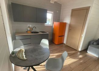 Сдача в аренду дачи, 60 м2, Самарская область