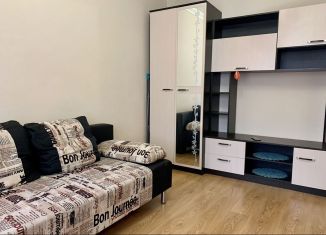 Продажа однокомнатной квартиры, 24 м2, Ростов-на-Дону, улица Ерёменко, 85/7