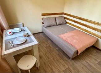 Квартира в аренду студия, 20 м2, Сочи, Пластунская улица, 238Д, микрорайон КСМ