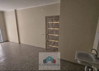 Двухкомнатная квартира на продажу, 47.2 м2, Красноярский край, улица Лесников, 41Б