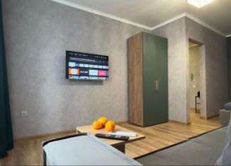 Сдается в аренду однокомнатная квартира, 42 м2, Татарстан, проспект Ямашева, 103