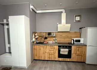 2-ком. квартира в аренду, 40 м2, Сочи, улица Горького, 87