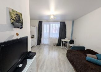 Продаю квартиру студию, 24.2 м2, Миасс, бульвар И.И. Седова, 11