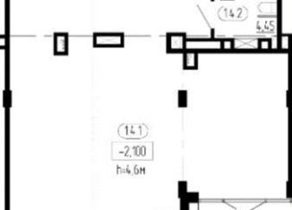 Продаю помещение свободного назначения, 80.59 м2, Санкт-Петербург, Светлановский проспект, 14к1