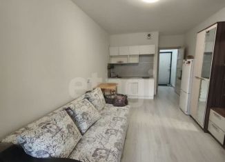 Продам квартиру студию, 24.2 м2, Санкт-Петербург, ЖК Солнечный Город, улица Генерала Кравченко, 7к3