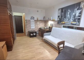 Сдам в аренду квартиру студию, 21.7 м2, Ломоносов, Михайловская улица, 51