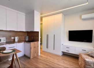 Продажа 1-комнатной квартиры, 23 м2, Сочи, Мацестинская улица, 12к1