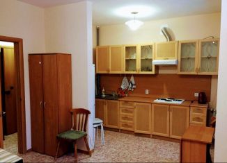 Сдам в аренду квартиру студию, 28 м2, Томская область, улица Марины Цветаевой, 9/3