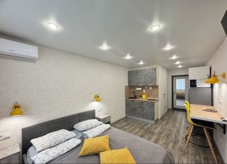 Сдача в аренду квартиры студии, 20 м2, Татарстан, улица Нурсултана Назарбаева, 56