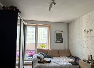 Продам квартиру студию, 24.5 м2, Мурино, Охтинская аллея, ЖК Девятый вал