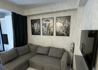 Продаю однокомнатную квартиру, 27.5 м2, посёлок городского типа Дагомыс, Российская улица, 17к1