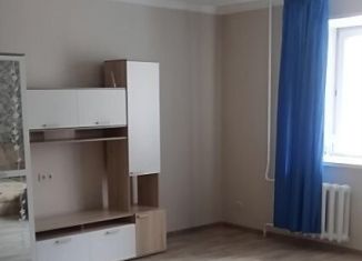 Сдаю в аренду однокомнатную квартиру, 47 м2, Новосибирск, улица Шевченко, 35, Октябрьский район