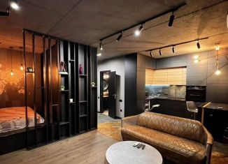 Сдается в аренду квартира студия, 50 м2, Пятигорск, улица Пестова, 15А