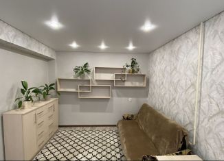 Продается однокомнатная квартира, 27 м2, Брянск, улица Дружбы, 7