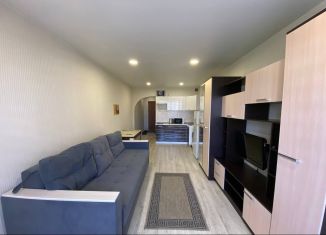 Сдаю квартиру студию, 27.9 м2, Новосибирск, Покатная улица, 130/1, Октябрьский район