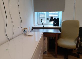 Сдам в аренду квартиру студию, 21 м2, Санкт-Петербург, Средняя Подьяческая улица, 7