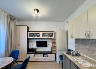 Квартира на продажу студия, 24.2 м2, Санкт-Петербург, Комендантский проспект, 69, ЖК Чистое Небо