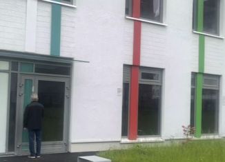 Сдаю в аренду помещение свободного назначения, 60 м2, Санкт-Петербург, Чудовская улица, 14к2