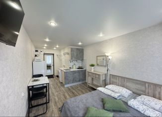 Сдам квартиру студию, 20 м2, Татарстан, улица Нурсултана Назарбаева, 54