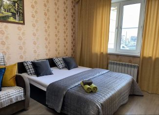 Сдается в аренду 1-комнатная квартира, 40 м2, Тверь, Октябрьский проспект, 99