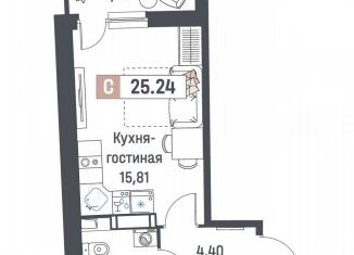 Квартира на продажу студия, 25.2 м2, Мурино, ЖК Авиатор, проспект Авиаторов Балтики, 29к2