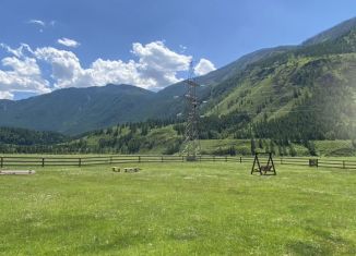 Дом в аренду, 22 м2, Республика Алтай, Чибитская улица, 18А