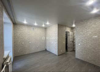 Продаю квартиру студию, 24 м2, село Чигири, улица Василенко, 5/2