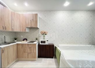 Продается квартира студия, 25 м2, Мурино, Охтинская аллея, 14