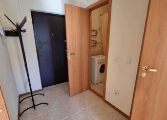 Аренда 1-комнатной квартиры, 32 м2, деревня Новое Девяткино, Арсенальная улица, 7, ЖК Девяткино