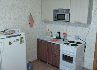 Квартира в аренду студия, 23 м2, село Фролы, Сибирская улица