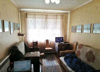 Продается однокомнатная квартира, 27.9 м2, деревня Михайлово, территория ПУ-20, 2