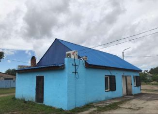 Продаю торговую площадь, 120 м2, Амурская область, Трудовая улица, 13