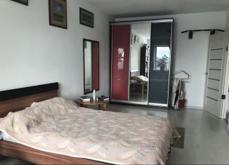 Сдается в аренду однокомнатная квартира, 37 м2, Мурино, Привокзальная площадь, 1Ак1, ЖК Мечта