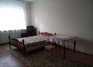 Сдается в аренду 1-комнатная квартира, 43 м2, поселок городского типа Разумное, Вересковая улица, 4