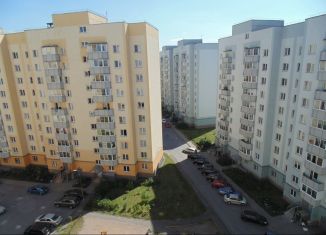 2-ком. квартира в аренду, 54 м2, посёлок Парголово, Приозерское шоссе