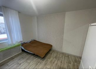 Сдача в аренду квартиры студии, 24 м2, Красноармейск, улица Морозова, 16