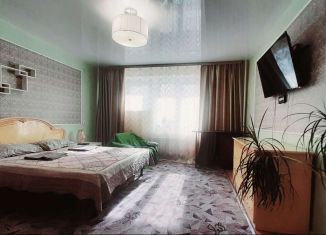 Сдаю 1-комнатную квартиру, 34 м2, Новосибирск, улица Ломоносова, 61, метро Берёзовая роща