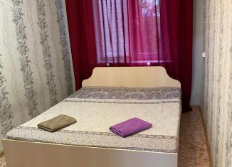 Сдается в аренду 2-ком. квартира, 37 м2, Рубцовск, улица Светлова, 86