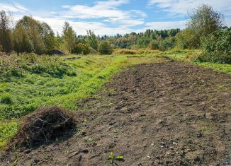 Земельный участок на продажу, 24 сот., деревня Низино